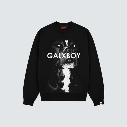 CARROT CREW NECK SWEATER